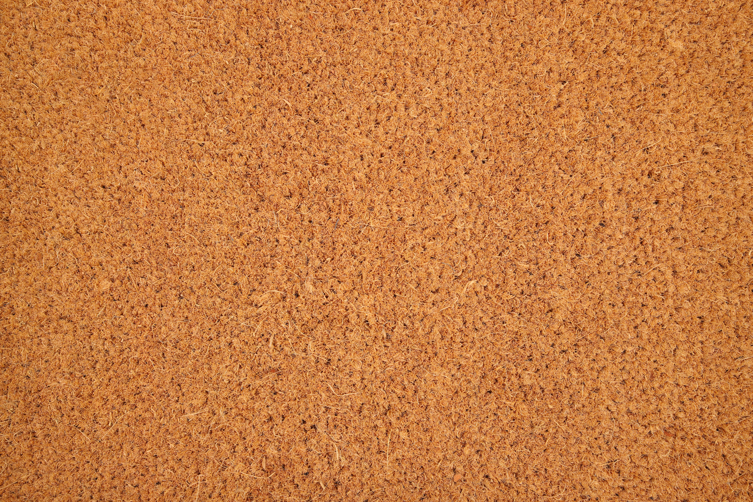 ARUBA 24 - Tapis brosse coco