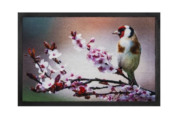 Paillasson personnalisé ANNAPURNA