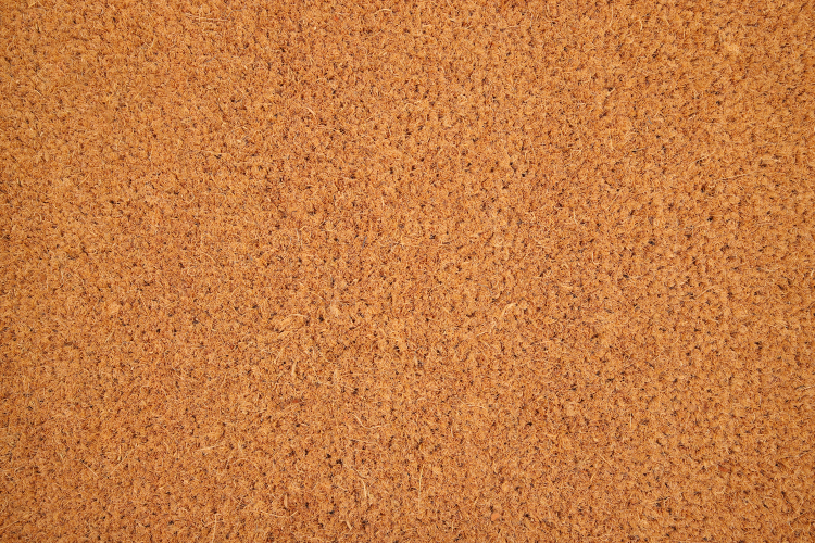 ARUBA 24 - Tapis brosse coco